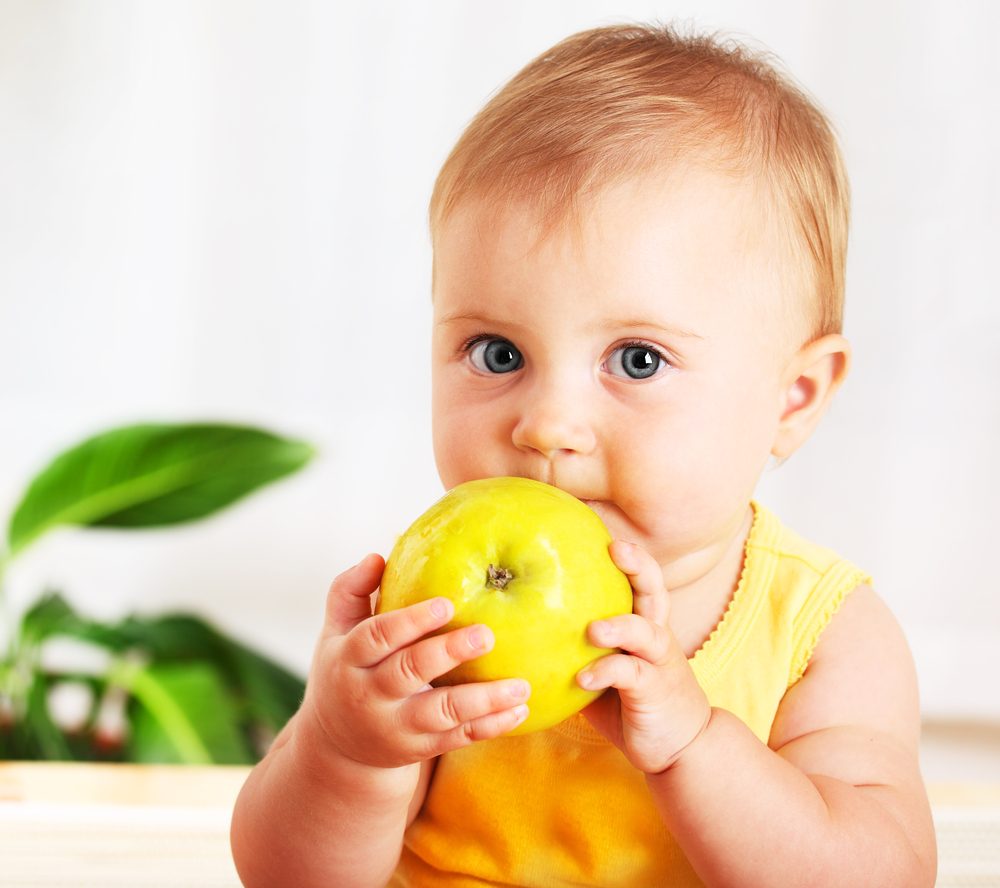 Quais são os melhores lanches para a introdução alimentar?