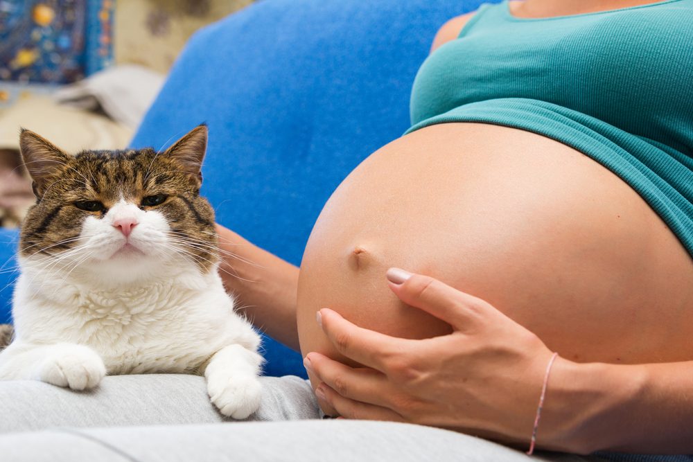 O que causa a toxoplasmose e como preveni-la?