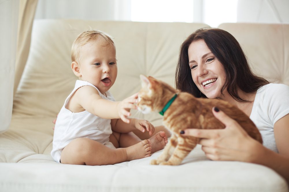 6 dicas para ensinar seu filho a cuidar dos animais