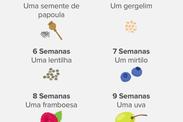 qual o tamanho do bebe na barriga