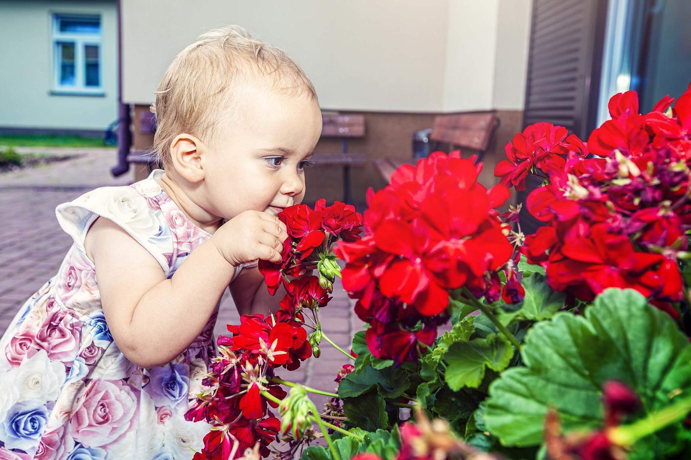 Conheça 12 atividades sensoriais para o bebê
