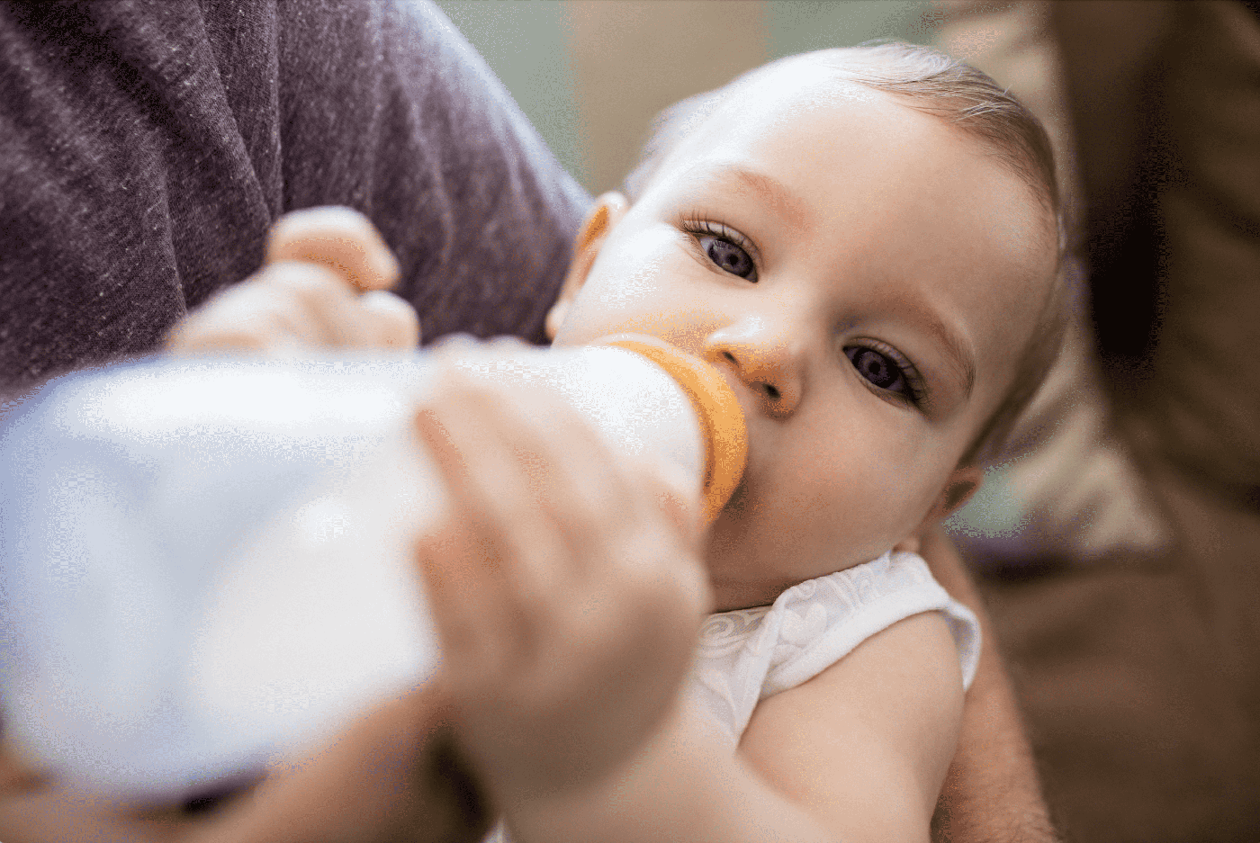 Como deve ser a rotina de alimentação de um bebê de 6 meses?