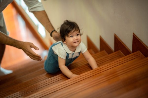 Visão Geral dos Marcos: 12 Meses