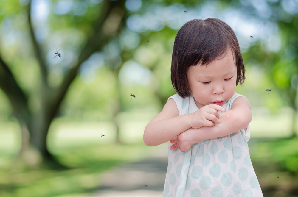 Como tratar as picadas de inseto em bebê?