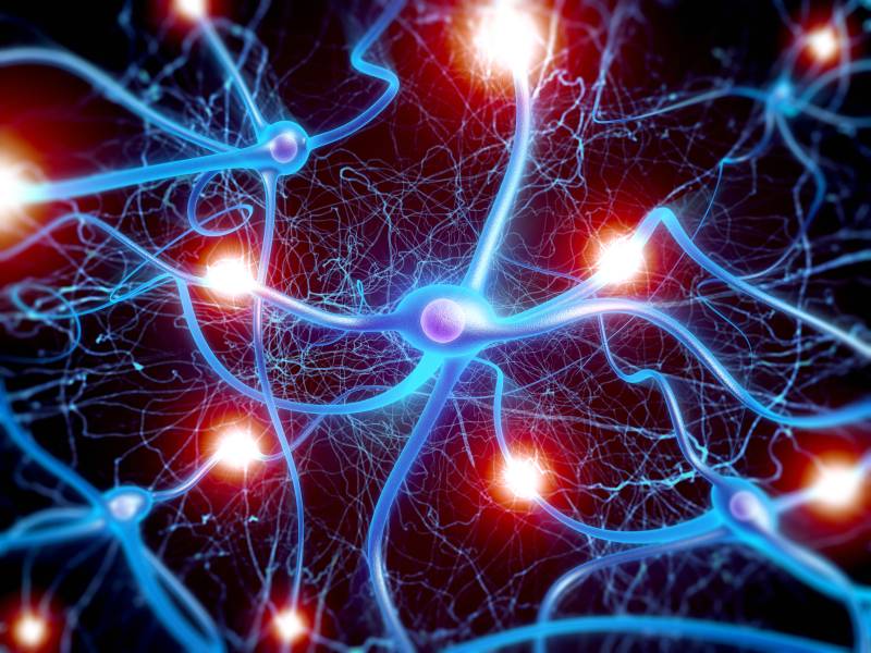 As primeiras experiências da infância podem afetar os genes?