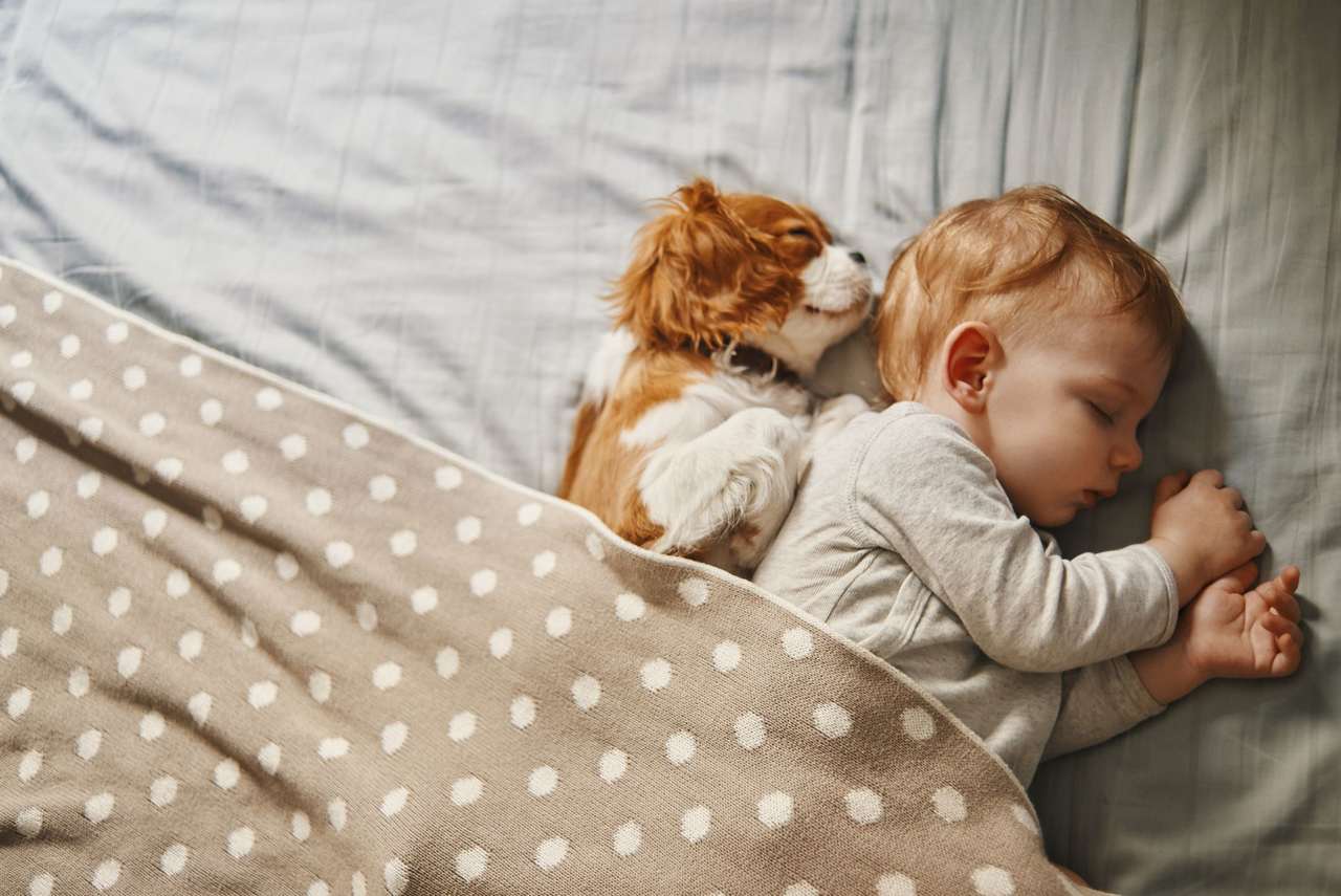 Meu filho acorda a noite toda e estamos exaustos