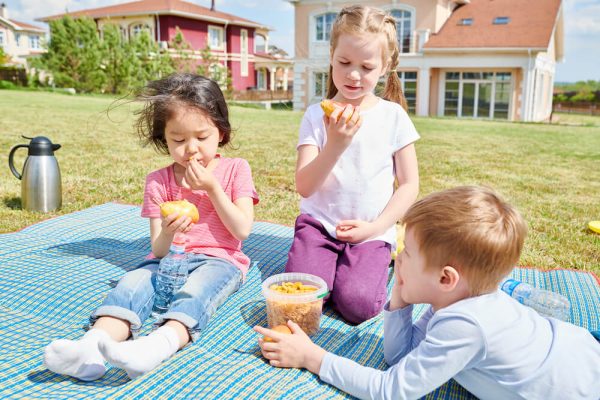 alimentação saudável na educação infantil